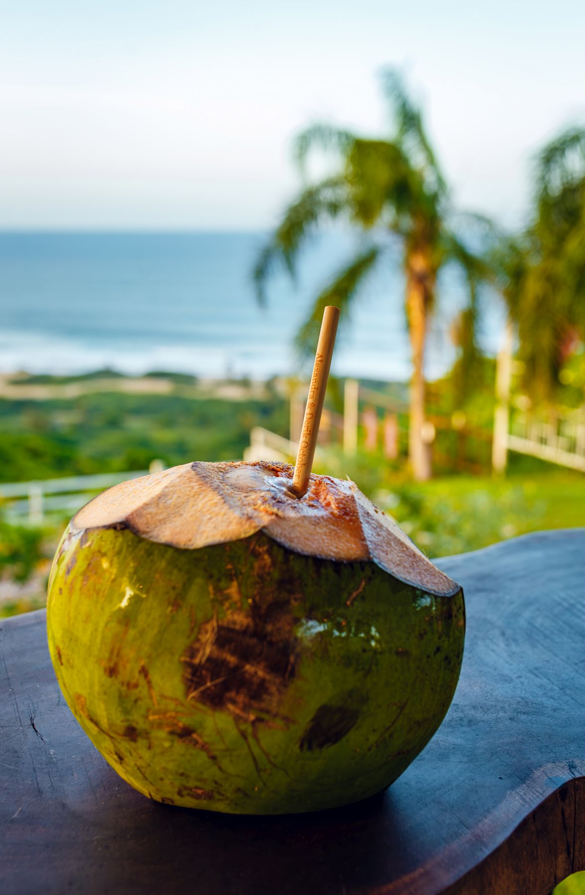 Alexandra & Derik 246